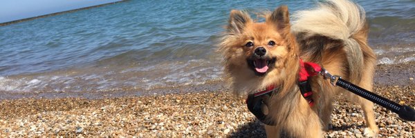 jesklash Profile Banner