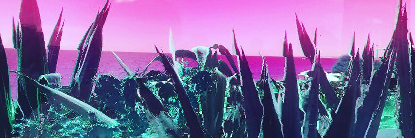AnyaHubbs's profile banner image