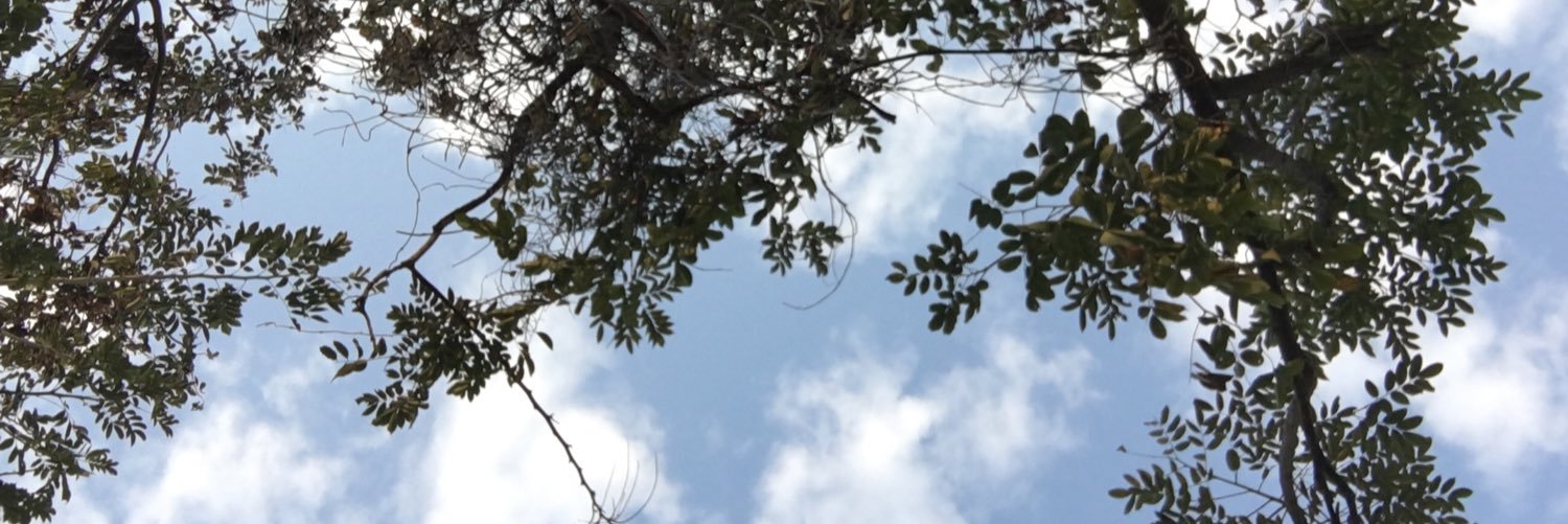 emptyxx555's profile banner image