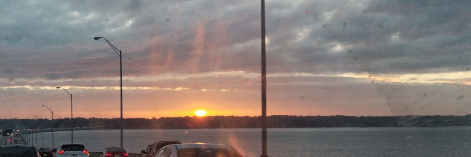 Julius Freeman banner