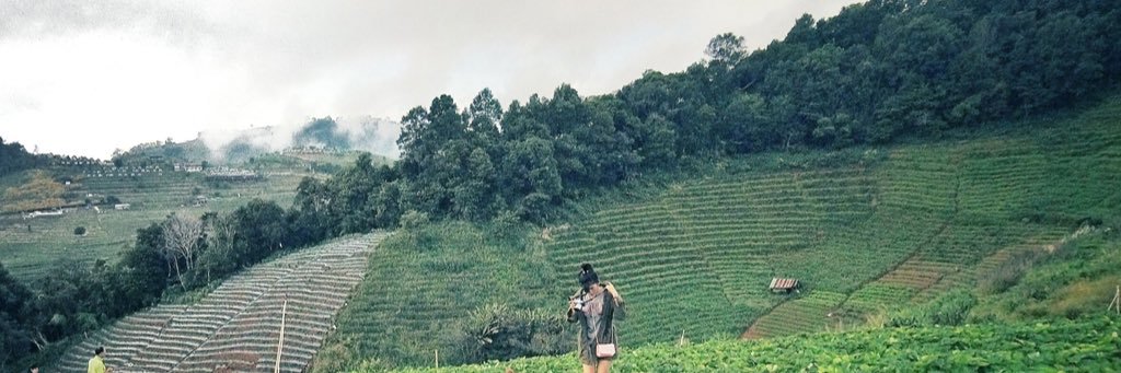 nammon_i's profile banner image