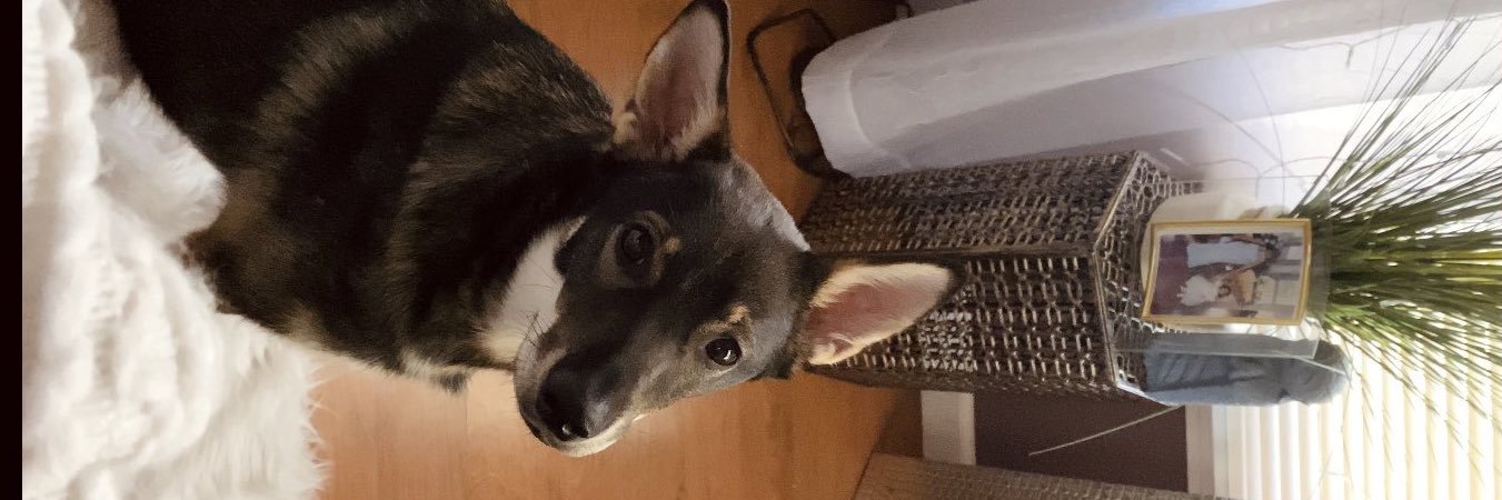 AshleyS_pt's profile banner image