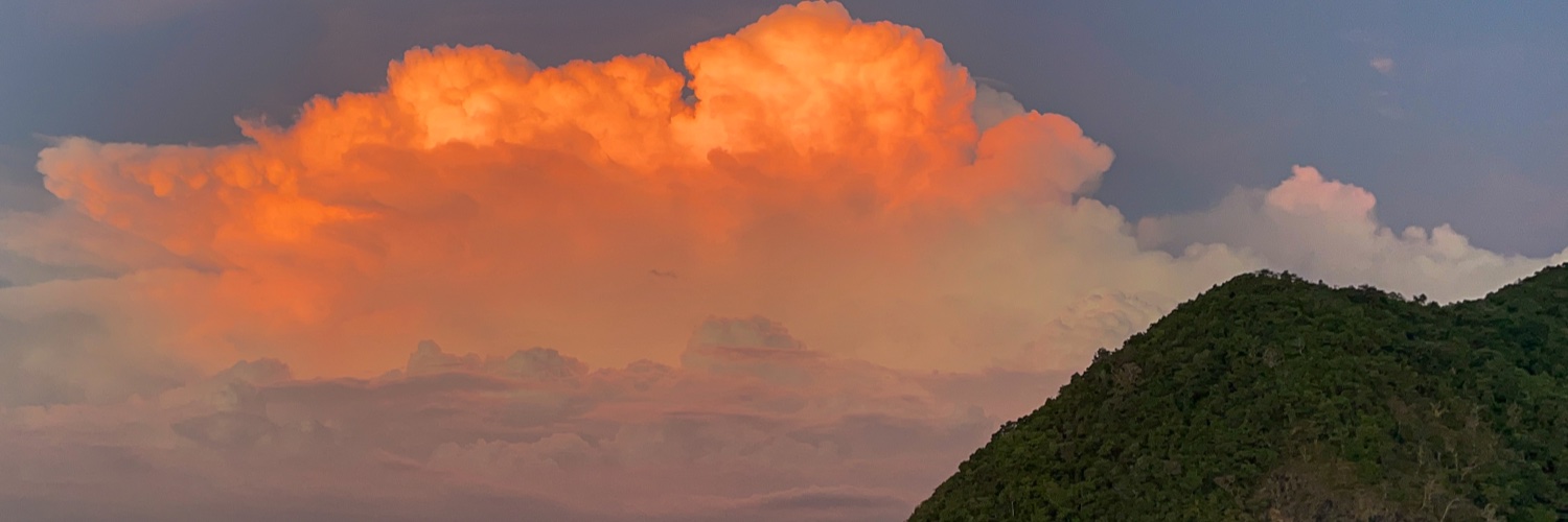 Gisela Rodriguez banner