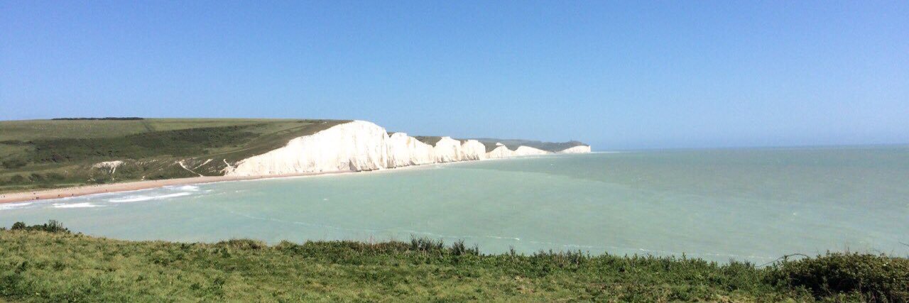 Rich Harrington banner