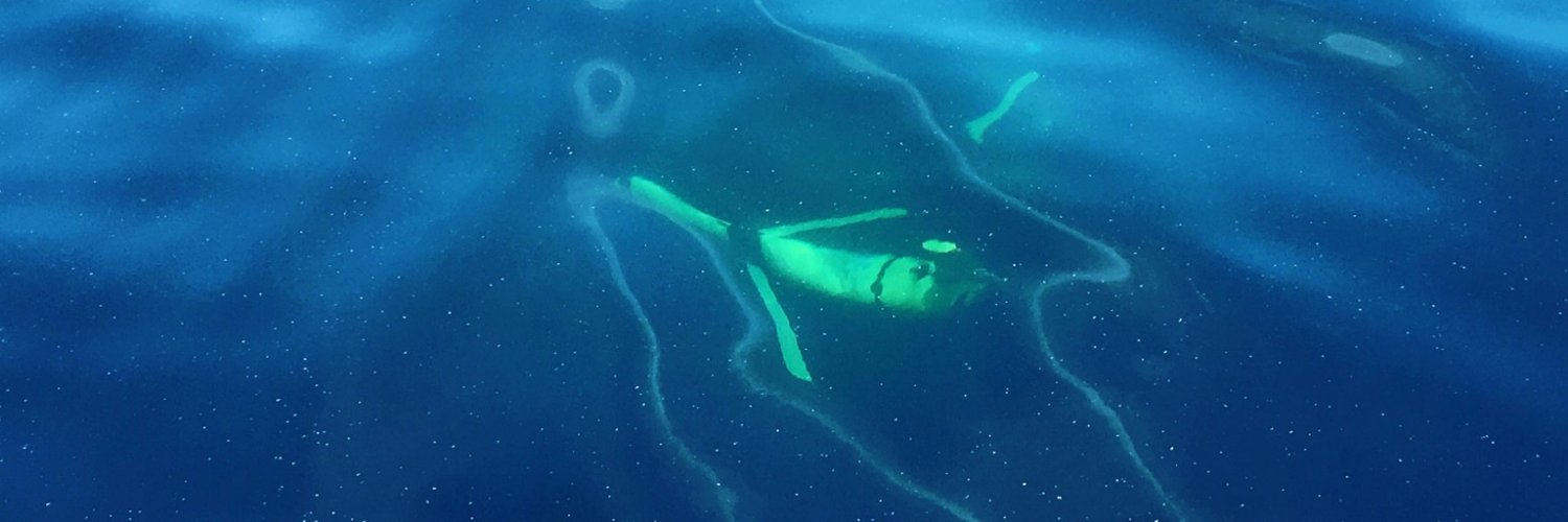 Laboratory for Ocean Sensing - C2PO banner