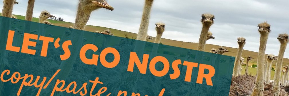 Horsch_d's profile banner image