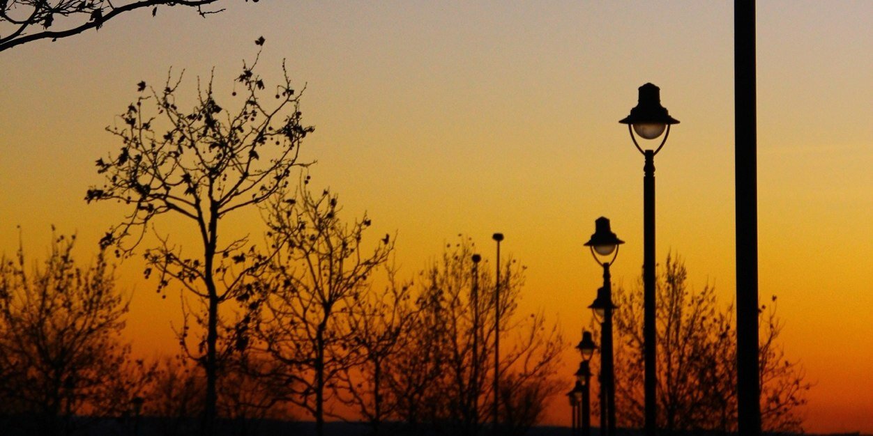 dirapido's profile banner image