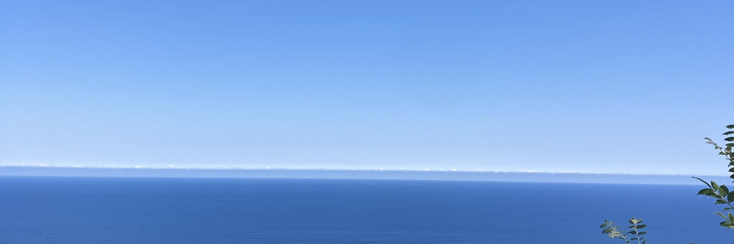 liliontheweb's profile banner image