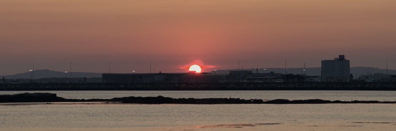 marinitalves's profile banner image