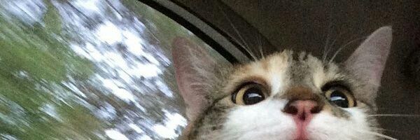 NuxLeek's profile banner image