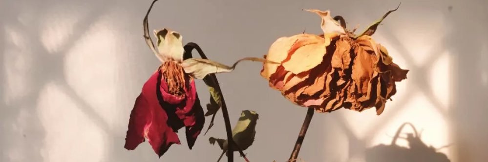 _half_jack's profile banner image