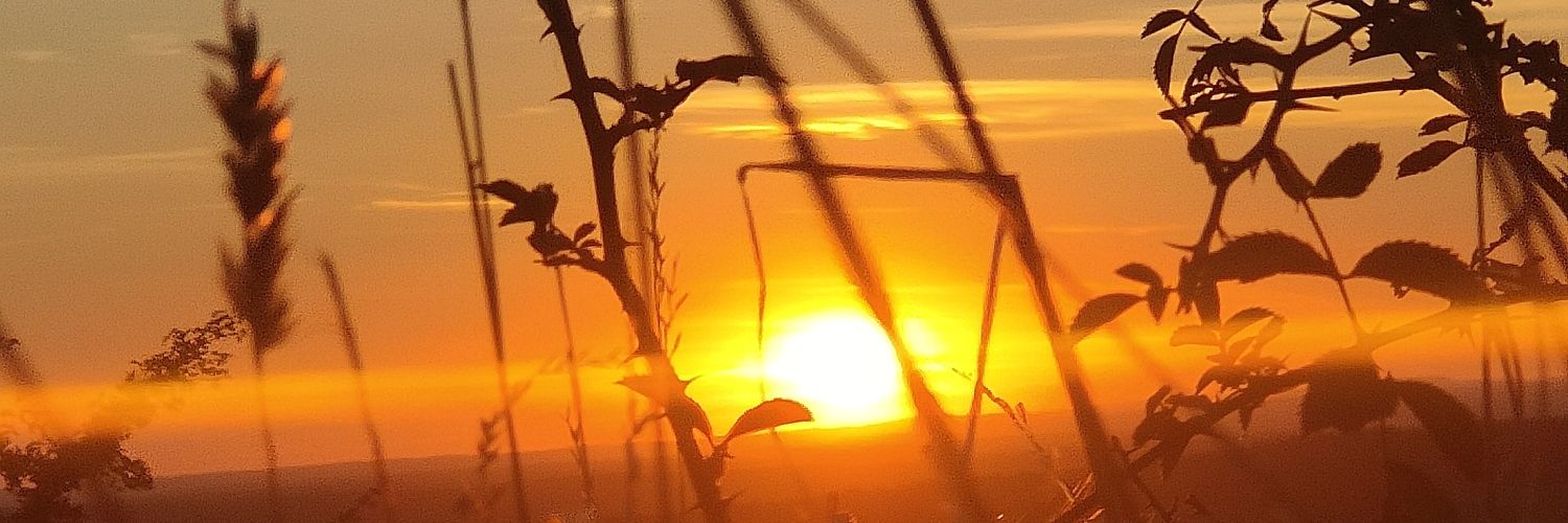 FredIJpma's profile banner image