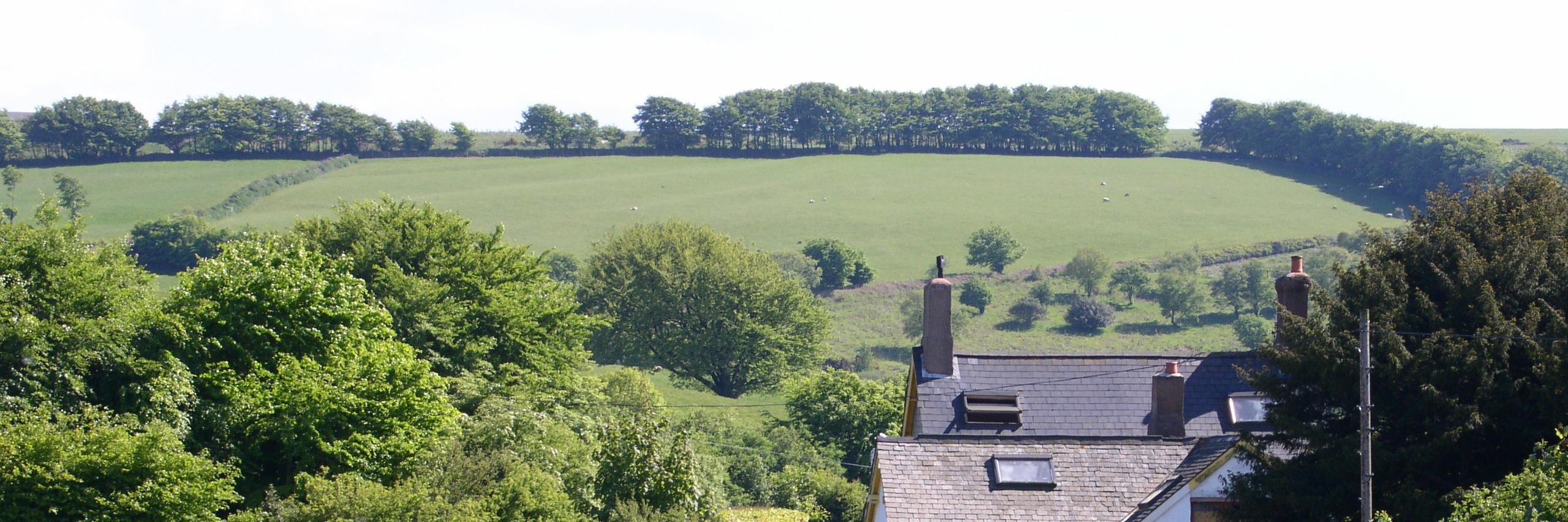 Everything Exmoor banner