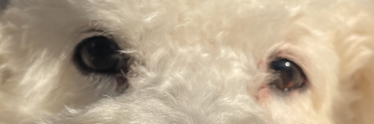 PenelopRod's profile banner image