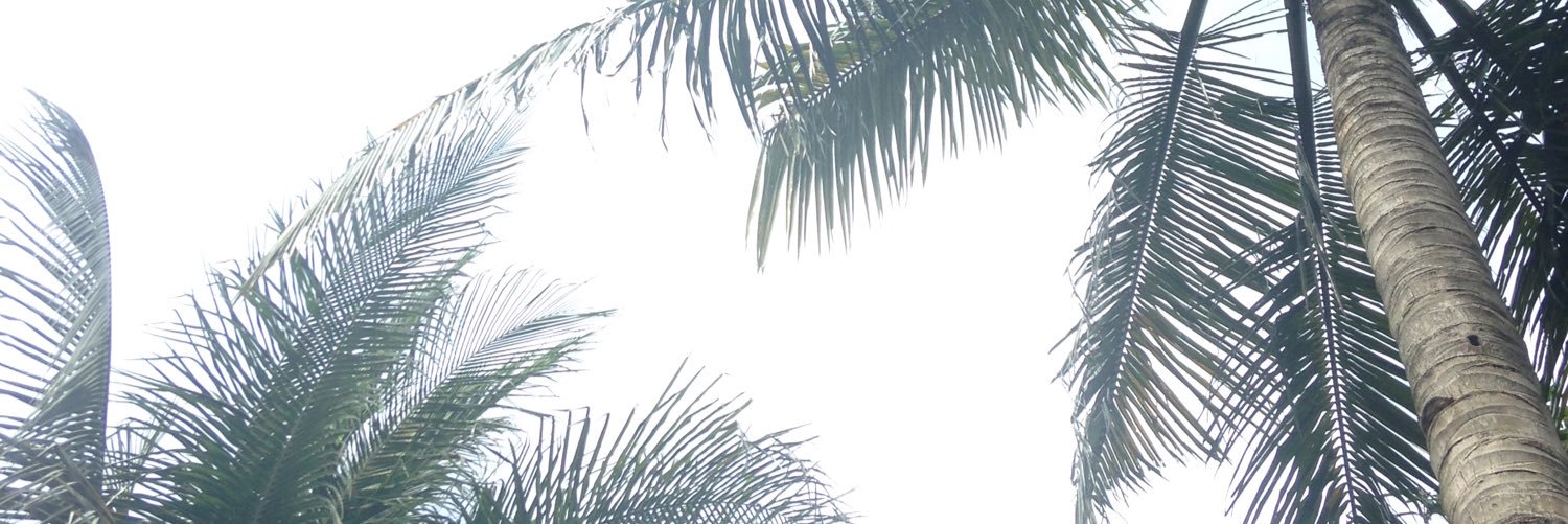 AprilJ_Miller's profile banner image