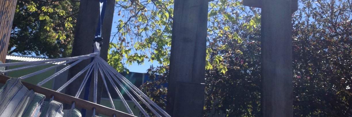 mazcatt's profile banner image