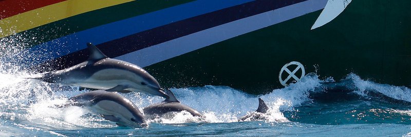 GreenpeaceAP's profile banner image