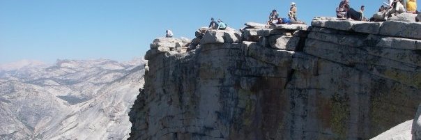 Meghan Donaldson banner