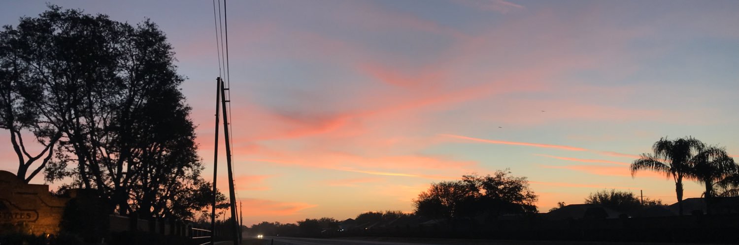 Daniela Mitchell banner