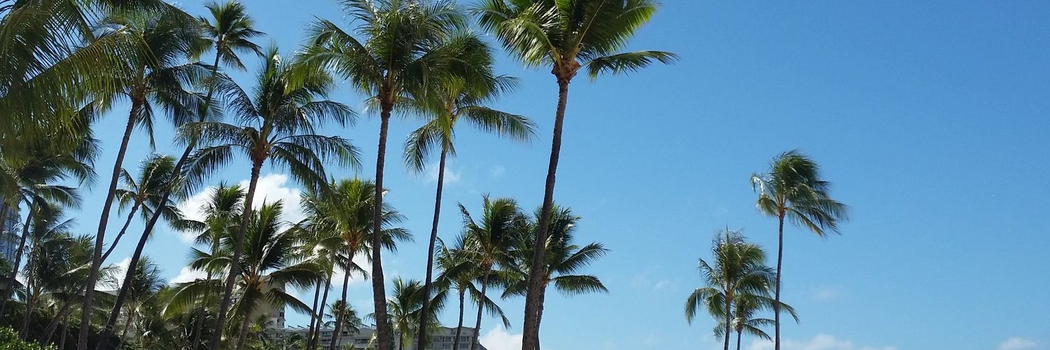 moanasmile's profile banner image