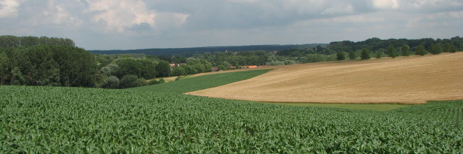 3040Huldenberg's profile banner image