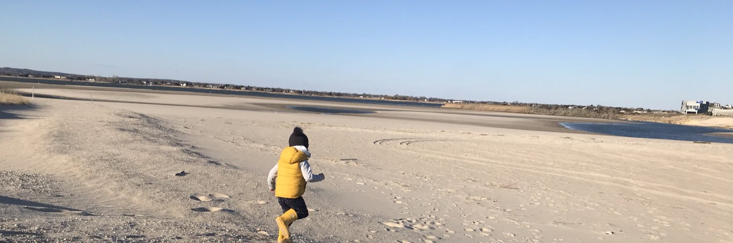 Heidi Lee Komaromi banner