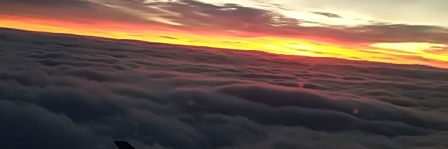 anielawin's profile banner image