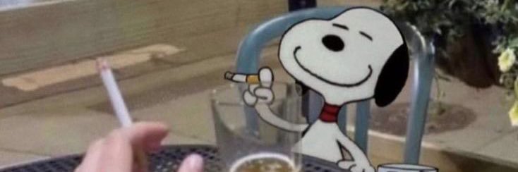SnoopyParPlo's profile banner image