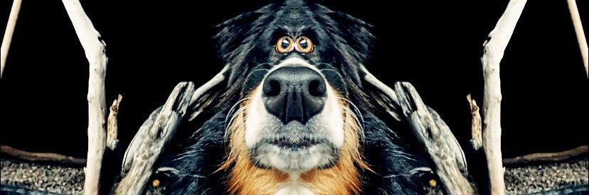 VdVgreg's profile banner image