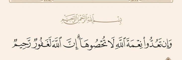 Mohammed Ginkel banner