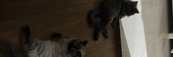 lixroaa Profile Banner