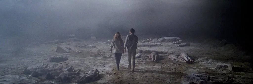 Marshall Flores banner