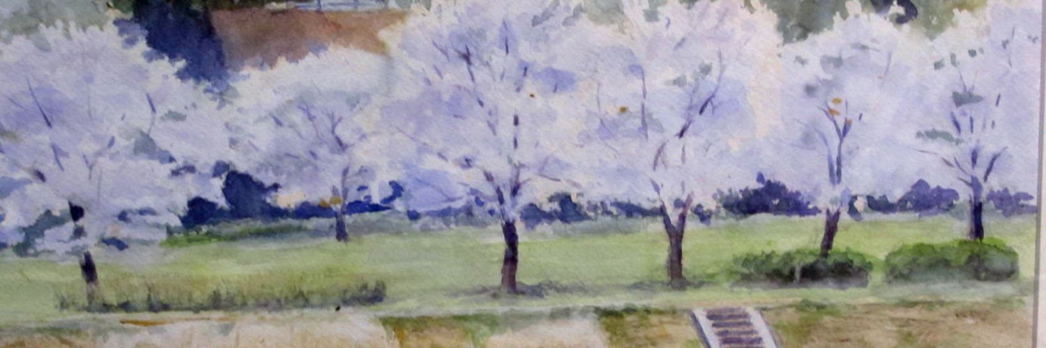 DANKAISEDAI401's profile banner image