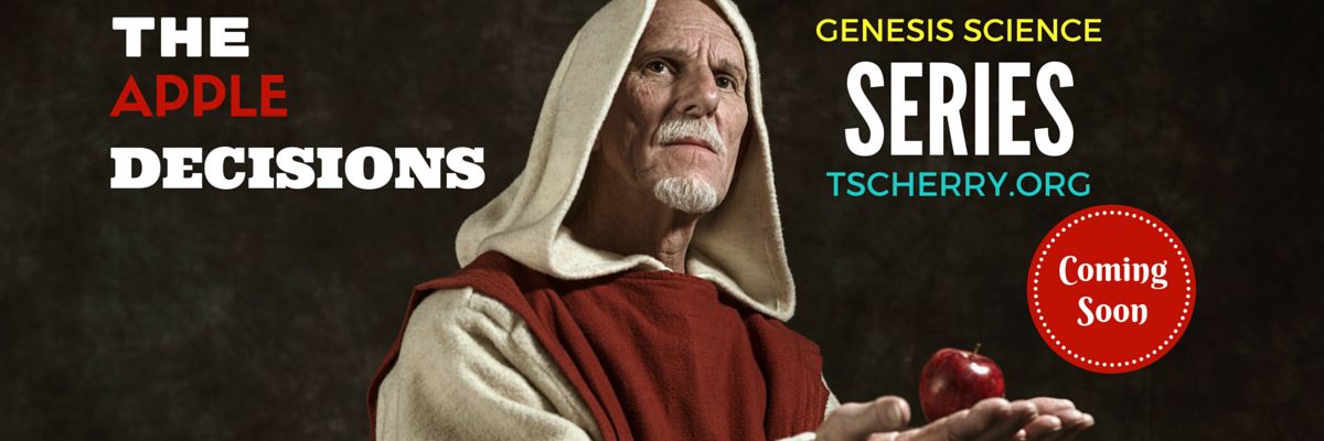 TSCherryorg's profile banner image