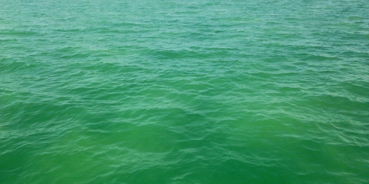 h0m00d91's profile banner image