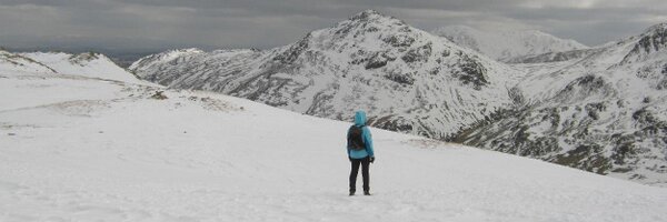 OOK_Librarian Profile Banner