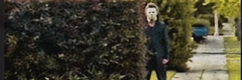 BagofGuts banner