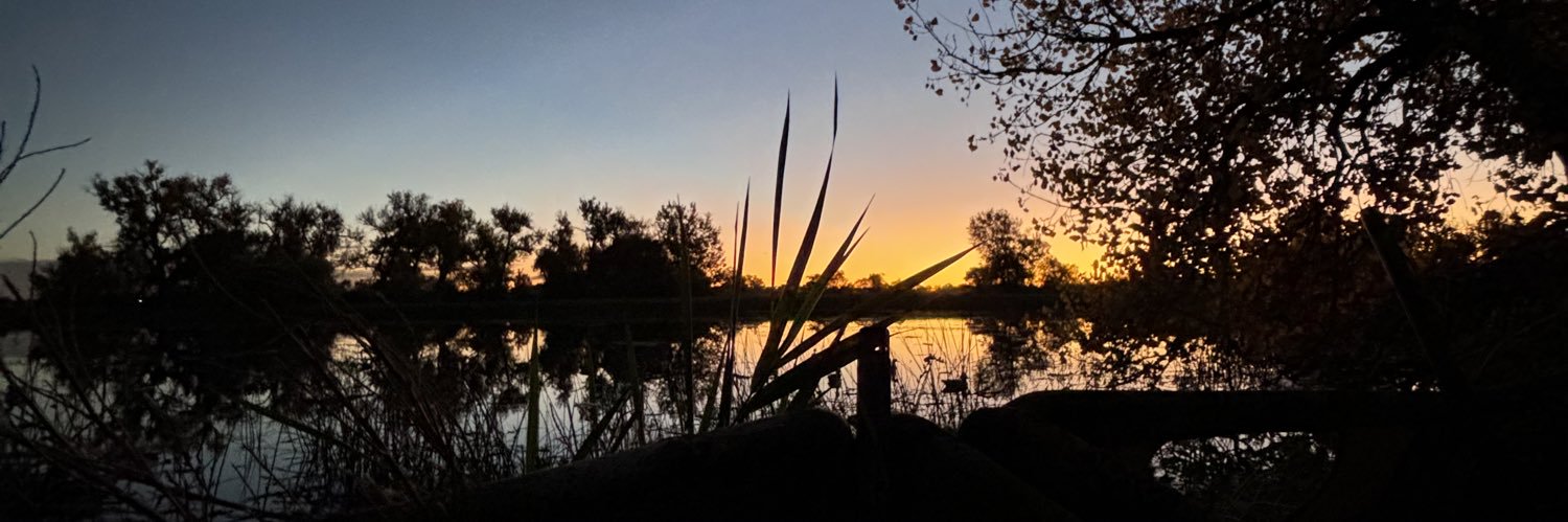edsonbrandonb's profile banner image