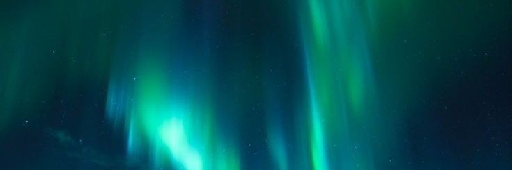 nataleench's profile banner image