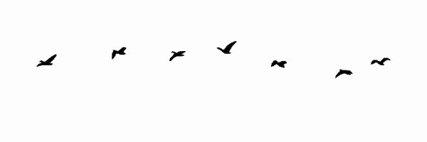 herve___'s profile banner image