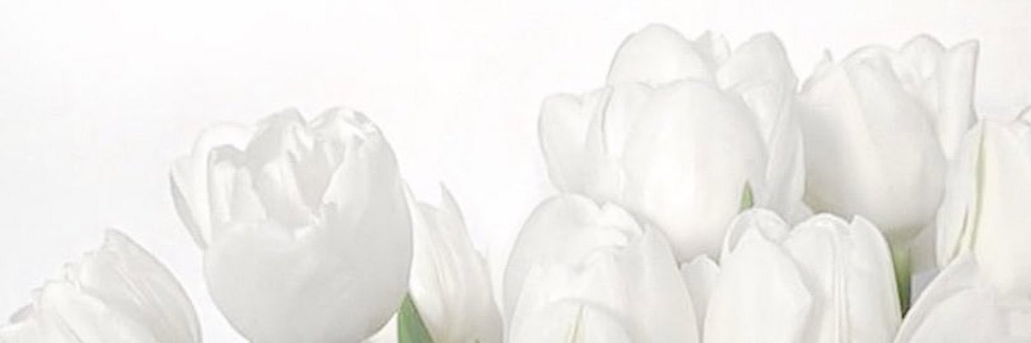 misho_Os's profile banner image