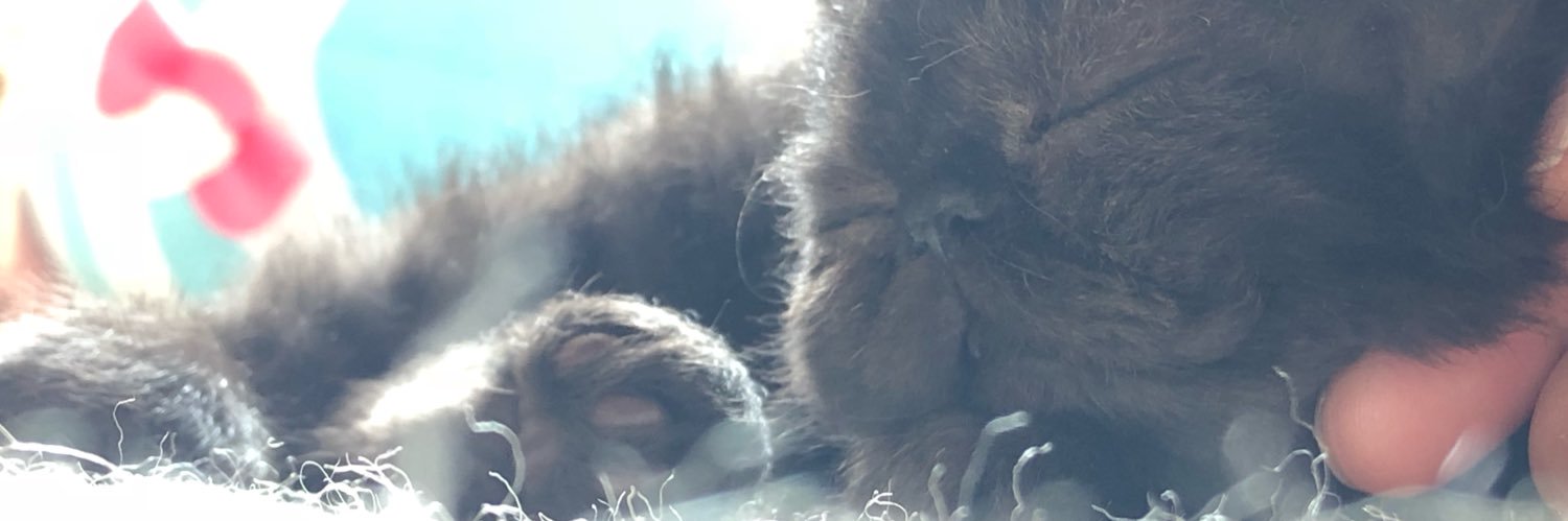 ちゃちゃっとまるっと banner