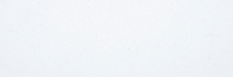 🍄 banner