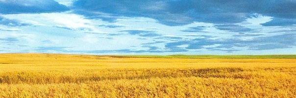 Chendler_Bing__'s profile banner image