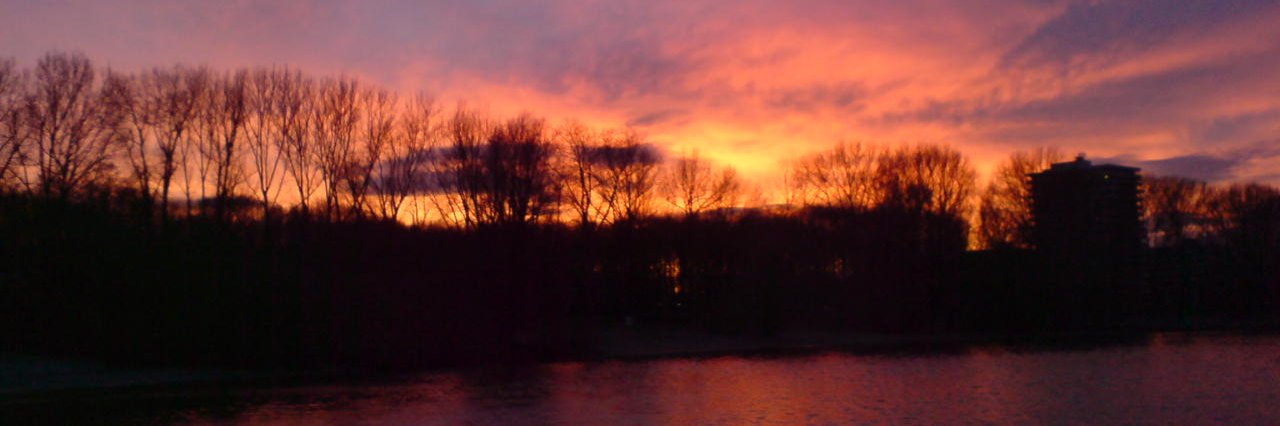 Christiane Schmieger 🇺🇦 🇩🇪 banner