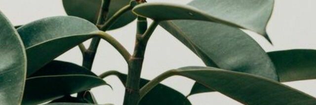 BlakeHale_'s profile banner image