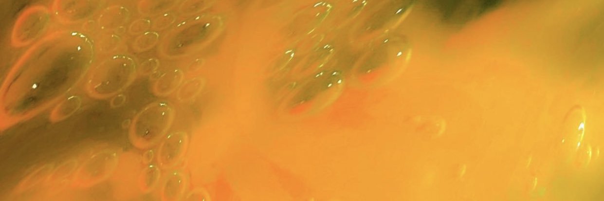 nico🦋's banner