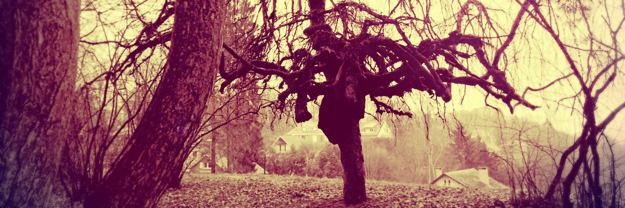 kantonin's profile banner image