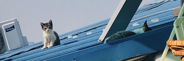 HJC421🐉 Profile Banner