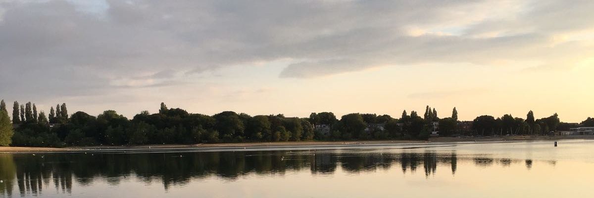 rowingegg's profile banner image